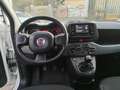 Fiat Panda Panda III 2021 1.0 firefly hybrid s Bianco - thumbnail 10