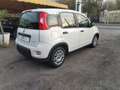Fiat Panda Panda III 2021 1.0 firefly hybrid s Bianco - thumbnail 4