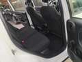 Fiat Panda Panda III 2021 1.0 firefly hybrid s Bianco - thumbnail 8