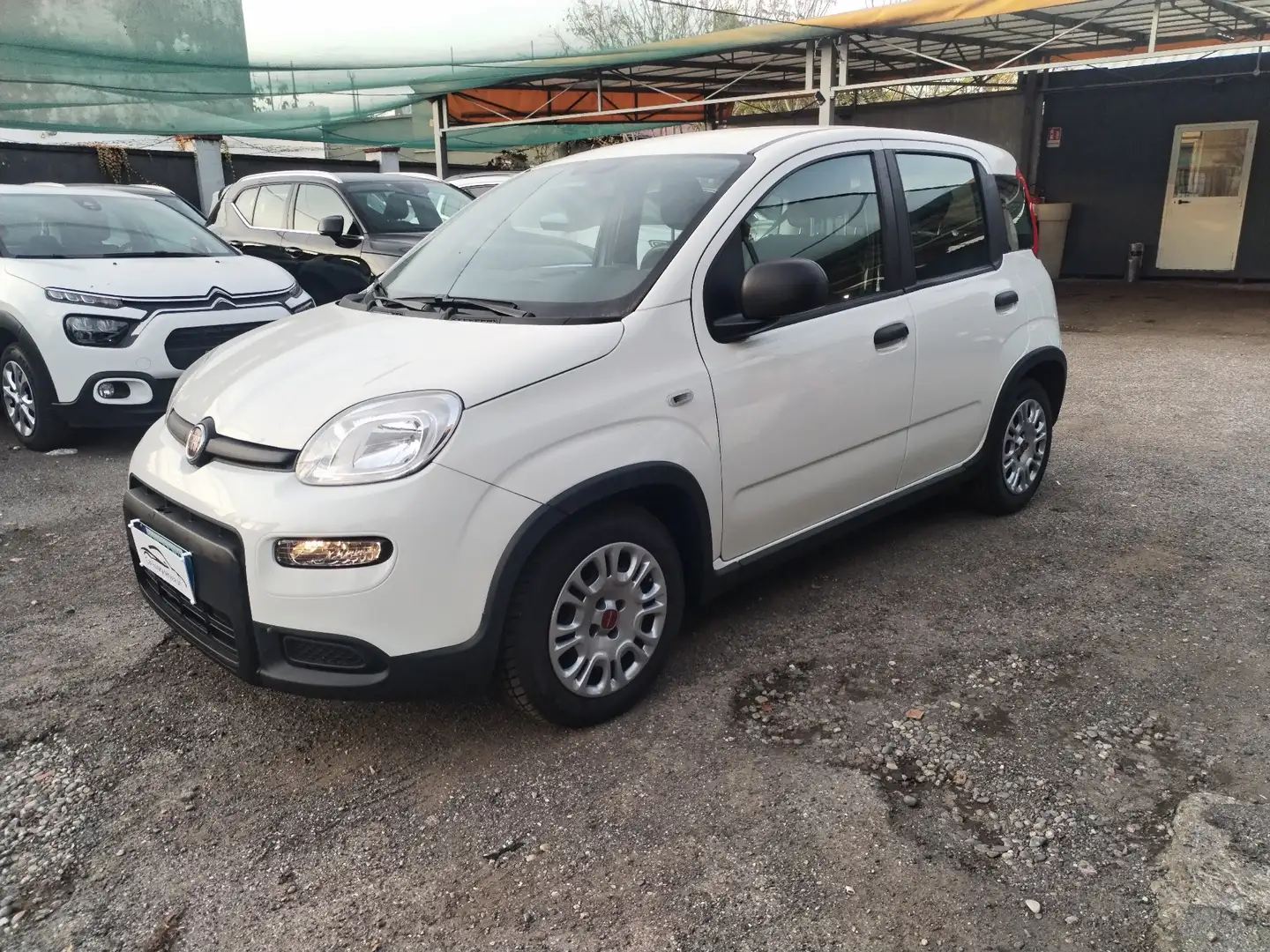 Fiat Panda Panda III 2021 1.0 firefly hybrid s Bianco - 2
