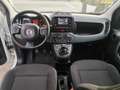 Fiat Panda Panda III 2021 1.0 firefly hybrid s Bianco - thumbnail 12