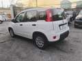 Fiat Panda Panda III 2021 1.0 firefly hybrid s Bianco - thumbnail 3