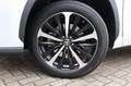 Toyota Highlander 2.5 AWD Hybrid Premium, Panodak Wit - thumbnail 3