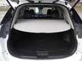 Nissan X-Trail 1.6 dCi 360 Weiß - thumbnail 13