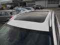 Nissan X-Trail 1.6 dCi 360 Weiß - thumbnail 6