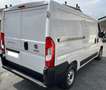 Fiat Ducato Ducato 2.2 140cv MH1 - passo medio tetto basso Bianco - thumbnail 3
