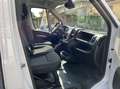Fiat Ducato Ducato 2.2 140cv MH1 - passo medio tetto basso Bianco - thumbnail 7