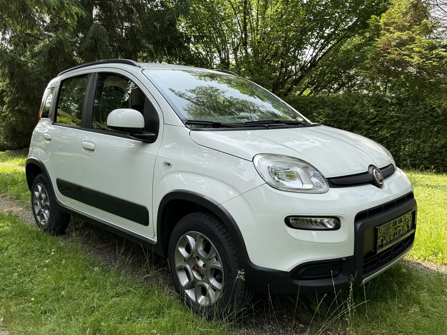 Fiat Panda 4x4 85 ALLRAD - 1
