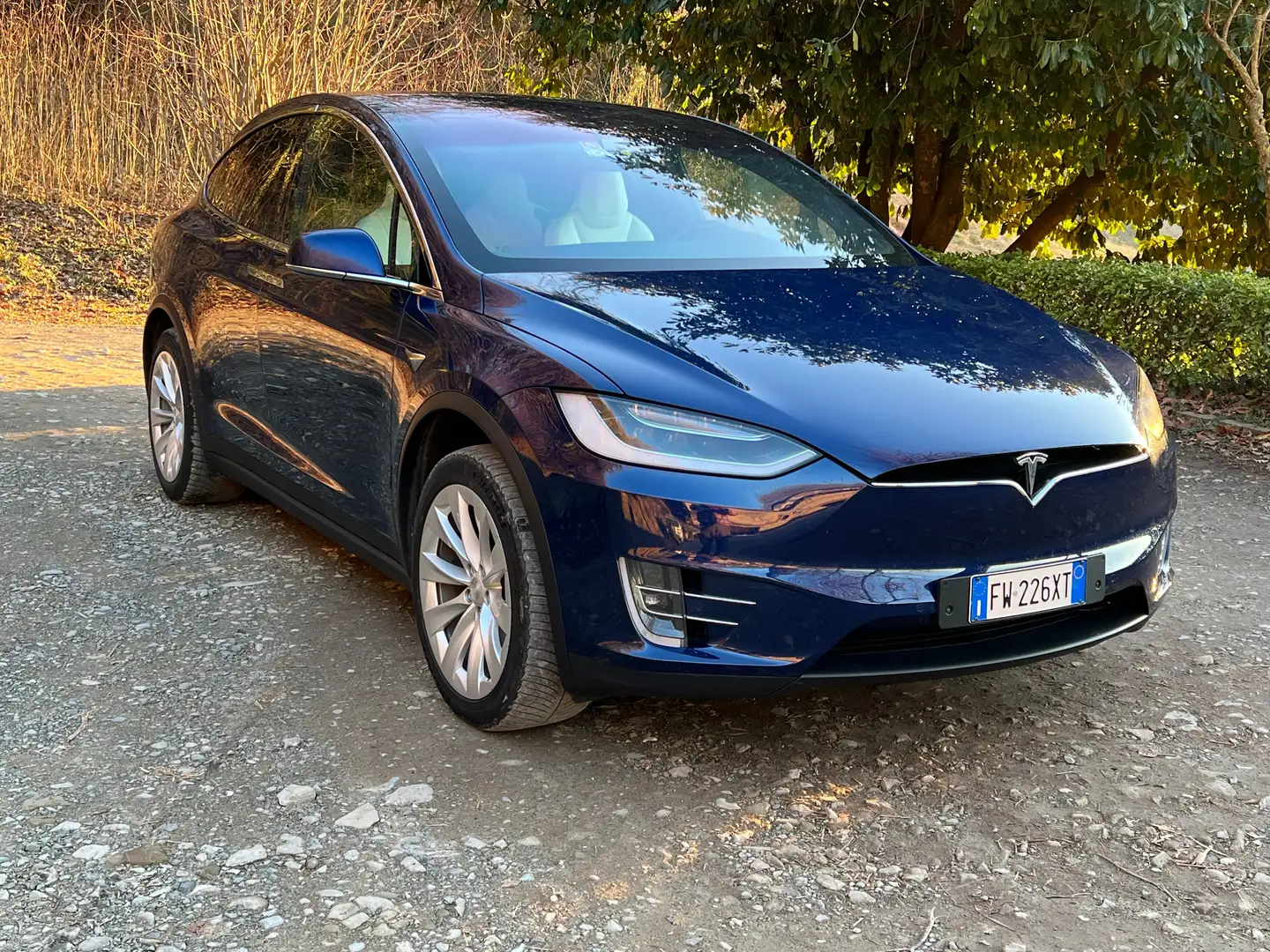 Tesla Model X Long Range Plus awd Blu/Azzurro - 2