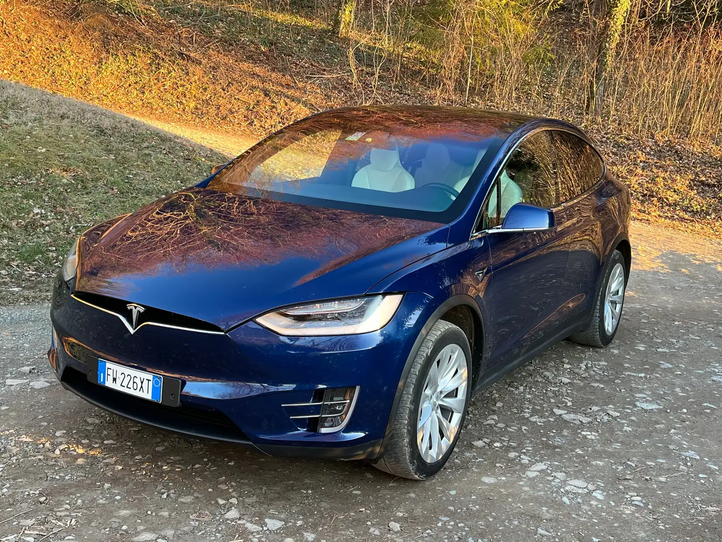 Tesla Model X Long Range Plus awd Blu/Azzurro - 1