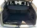 Audi Q5 Sportback 40 TDI S-line quattro Matrix/Navi+ Beige - thumbnail 6