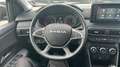 Dacia Sandero 1.0 ECO-G 74KW STEPWAY EXTREME GO 101 5P Verde - thumbnail 10
