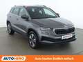 Skoda Karoq 2.0 TDI Style 4x4 Grau - thumbnail 8