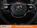 Skoda Karoq 2.0 TDI Style 4x4 Grau - thumbnail 19