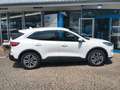 Ford Kuga Titanium X PHEV Navi Kamera B&O 18"-LM 1.Ha Blanc - thumbnail 14