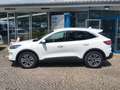 Ford Kuga Titanium X PHEV Navi Kamera B&O 18"-LM 1.Ha Blanc - thumbnail 3
