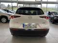 Mazda CX-30 2.5 Homura AUTOMATIK LED, Qi, Log-in, Head-up, Nav Weiß - thumbnail 13