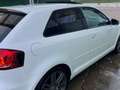 Audi A3 2.0TDI Ambition S-Tronic Blanco - thumbnail 5
