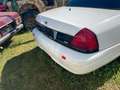 Ford Crown Victoria Police Interceptor Blanco - thumbnail 3