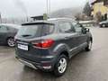 Ford EcoSport Titanium Grau - thumbnail 6