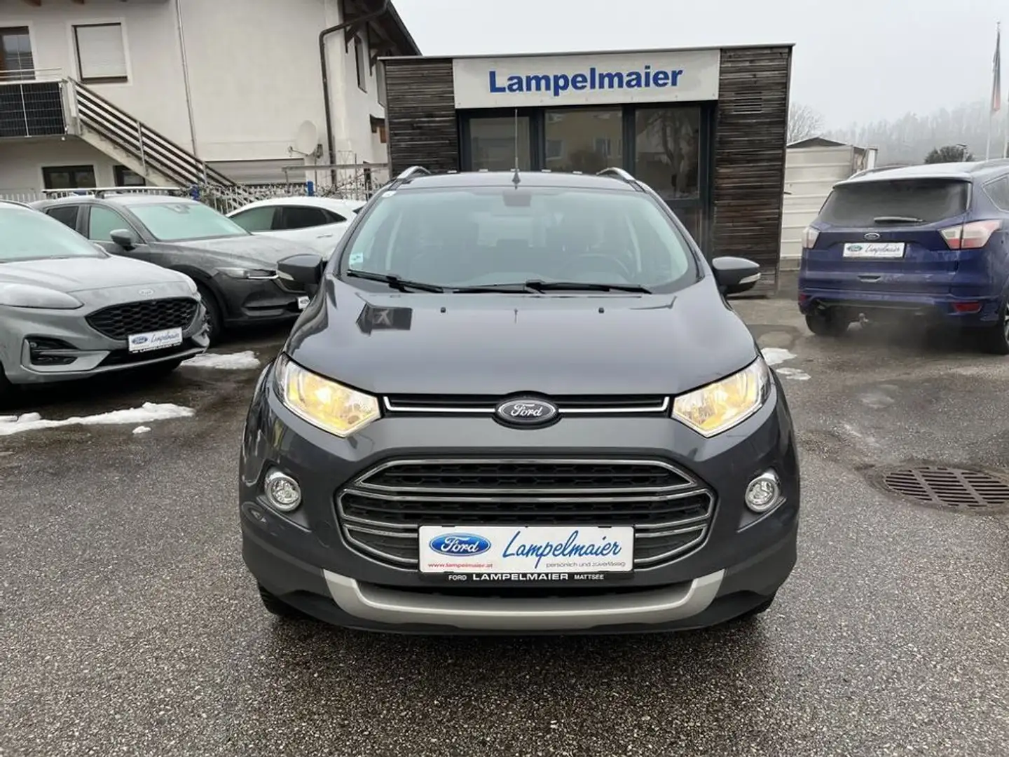 Ford EcoSport Titanium Grau - 2