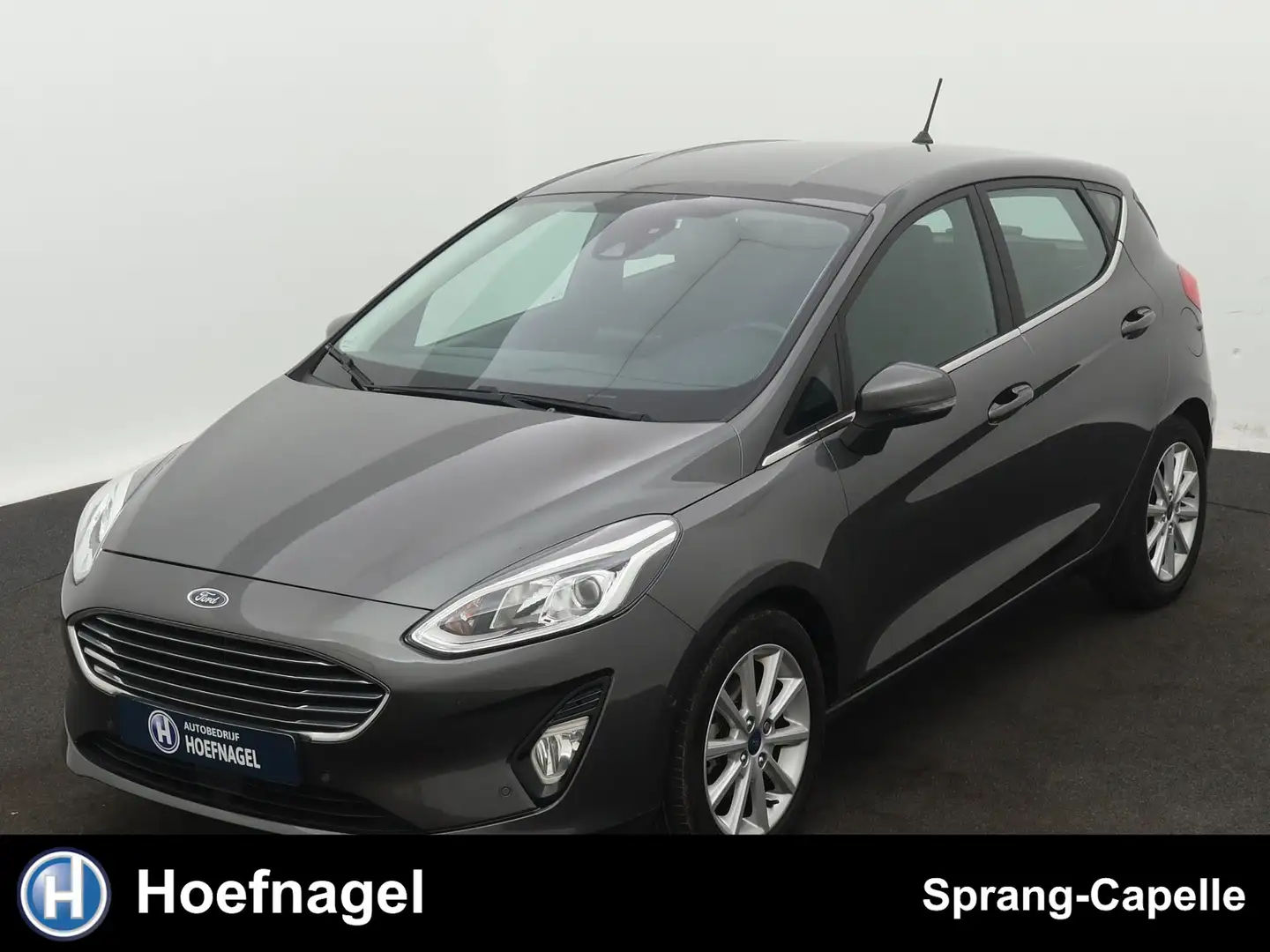 Ford Fiesta 1.0 EcoBoost Titanium | Navi | Camera | Adaptive C Grijs - 1