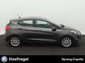 Ford Fiesta 1.0 EcoBoost Titanium | Navi | Camera | Adaptive C Grijs - thumbnail 9