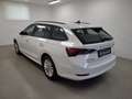 Skoda Octavia Combi 2,0 TDI Ambition DSG, Mod.23,leasingfähig Weiß - thumbnail 8