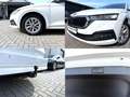 Skoda Octavia OCTAVIA 2.0 TDI/DSG/HEAD UP/AHK/NAVI/VIRTUAL/ACC Weiß - thumbnail 7