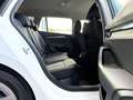 Skoda Octavia OCTAVIA 2.0 TDI/DSG/HEAD UP/AHK/NAVI/VIRTUAL/ACC Weiß - thumbnail 15