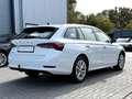 Skoda Octavia OCTAVIA 2.0 TDI/DSG/HEAD UP/AHK/NAVI/VIRTUAL/ACC Weiß - thumbnail 6