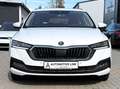 Skoda Octavia OCTAVIA 2.0 TDI/DSG/HEAD UP/AHK/NAVI/VIRTUAL/ACC Weiß - thumbnail 2
