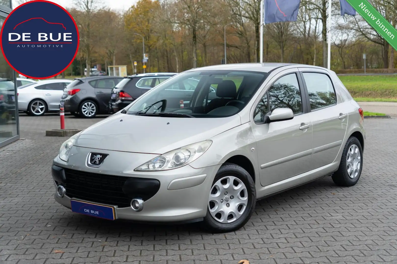 Peugeot 307 1.6-16V Automaat 109PK|Org.NL|2e Eig.|Cruise|Airco Grau - 1
