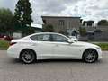 Infiniti Q50 2014 2.2d 170CV Sport auto Weiß - thumbnail 3