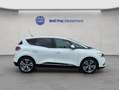 Renault Scenic 1.3 TCe ENERGY INTENSE Bianco - thumbnail 6