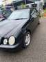 Mercedes-Benz CLK 200 CLK Cabrio 200 Kompressor Elegance Negro - thumbnail 4