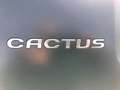 Citroen C4 Cactus 1.6 Blue-HDi Feel-PDC-Sitzheizung-Kamera-Bluetooth Grau - thumbnail 41