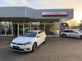 Volkswagen Golf VII Lim. Join Start-Stopp *TOP*SERVICE NEU Bianco - thumbnail 1