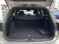 Ford Focus ST-Line 1.0 EcoBoost MHEV Automatik AHK PANO Silber - thumbnail 23