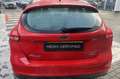 Ford Focus 1.0 Titanium | 5DRS | 125pk | Zeer weinig gereden Rouge - thumbnail 11