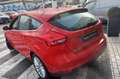 Ford Focus 1.0 Titanium | 5DRS | 125pk | Zeer weinig gereden Rouge - thumbnail 10