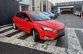 Ford Focus 1.0 Titanium | 5DRS | 125pk | Zeer weinig gereden Rouge - thumbnail 13