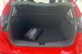 Ford Focus 1.0 Titanium | 5DRS | 125pk | Zeer weinig gereden Rouge - thumbnail 27