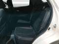 SsangYong XLV 1.6 Be Visual 2wd *GPL* Weiß - thumbnail 10