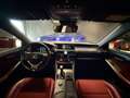Lexus IS 300 300h Hybrid F-Sport Line|DEALERONDERHOUDEN|NAP|CAM Rot - thumbnail 12