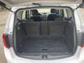 Opel Meriva Meriva 1.6 CDTI - 95 ch Start/Stop Edition Blanc - thumbnail 11