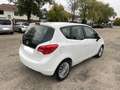 Opel Meriva Meriva 1.6 CDTI - 95 ch Start/Stop Edition Blanc - thumbnail 5