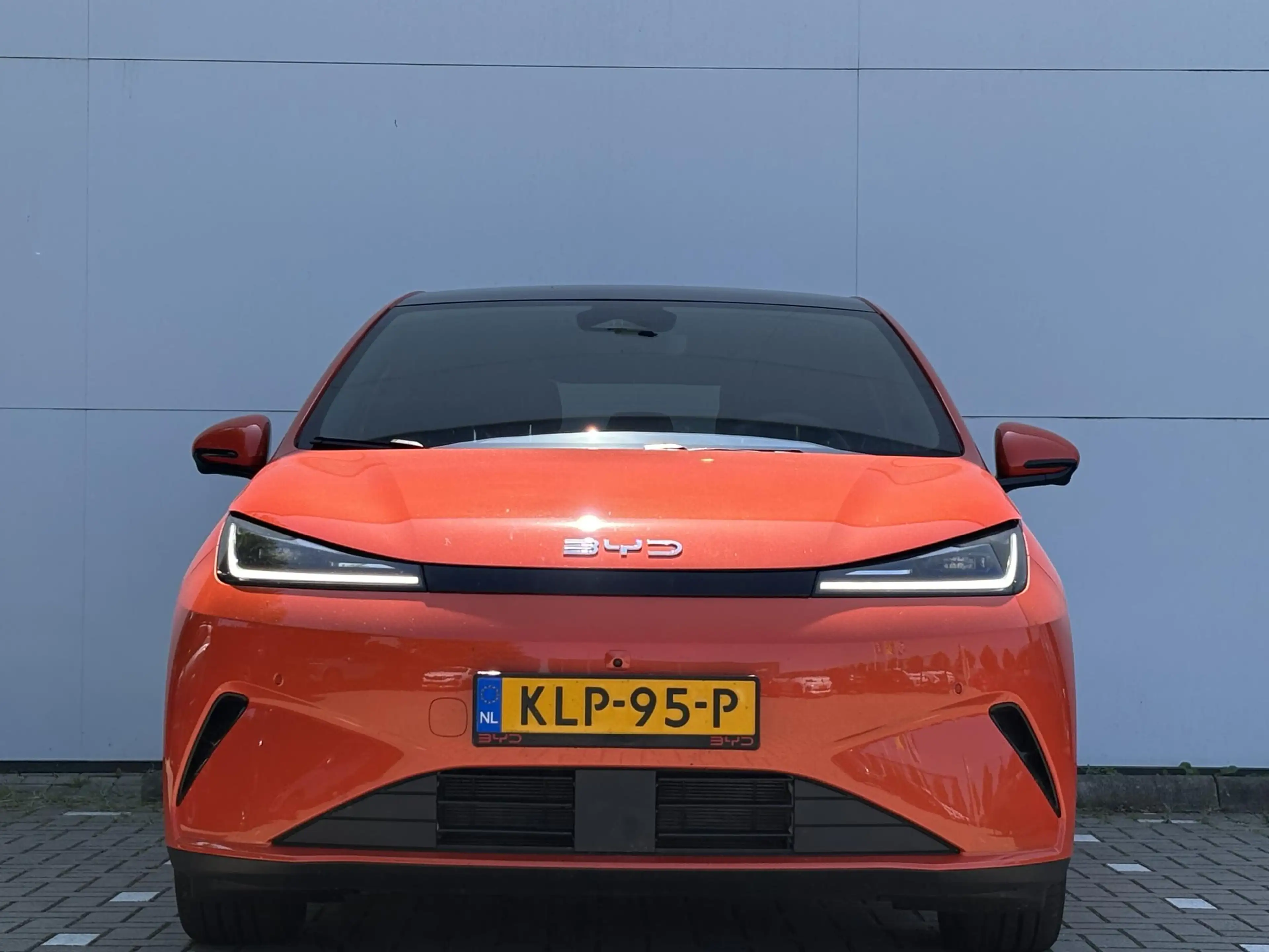 BYD Dolphin G 1.5L DM-i Comfort | Nieuw  | Nu in de showroom | — photo 18