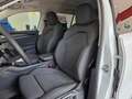 Skoda Kodiaq 1.5 TSI 150KW DSG PHEV Selection Blanco - thumbnail 35
