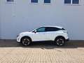 Nissan Qashqai N-Connecta Autom. *Winter-, Komfort-P.* Weiß - thumbnail 5